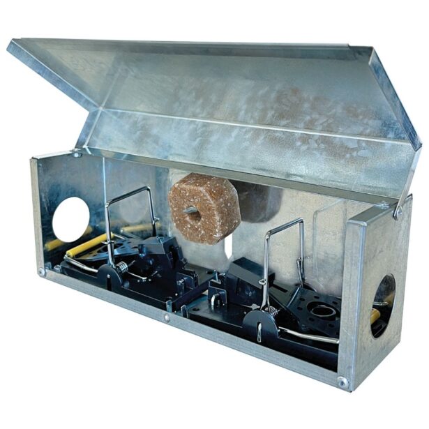 Tunnelbox mus m 2 smækfælder
