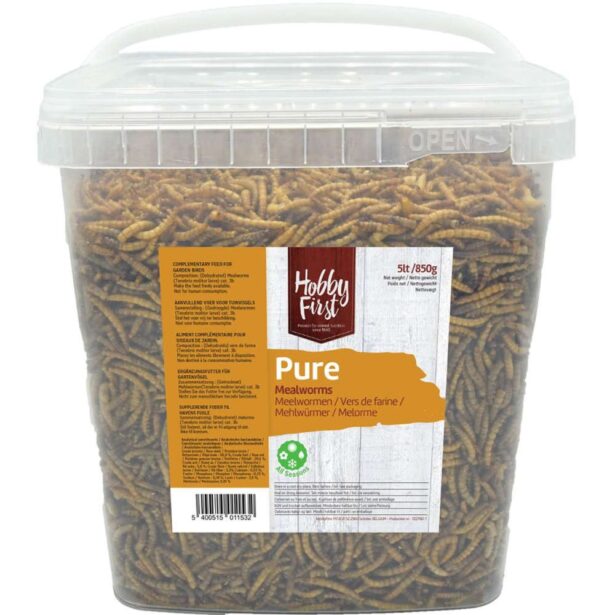 Hobby First melorme 850 gram spand