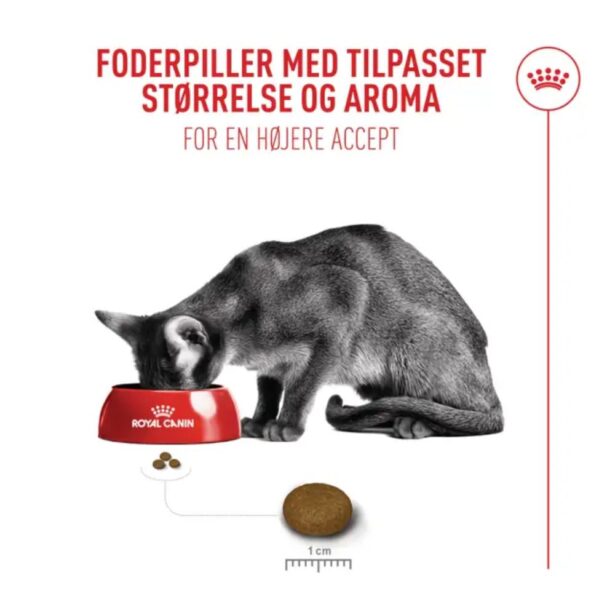 Royal Canin Fuzzy kat 2 kg til kræsne katte