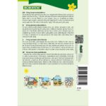Asters Matsumoto Apricot 2160