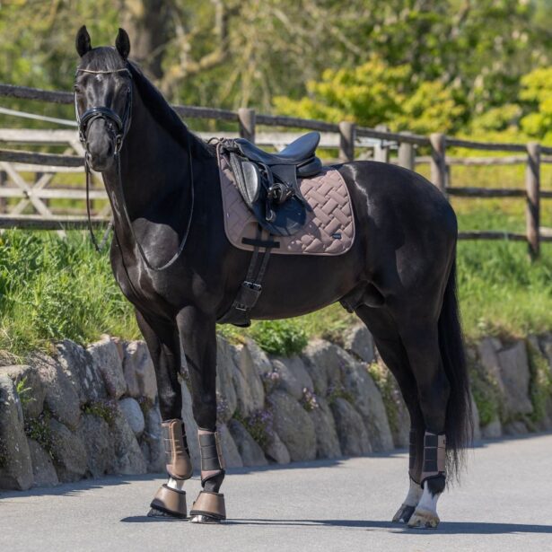 Kingsland SS26 Lexie dressurunderlag brun