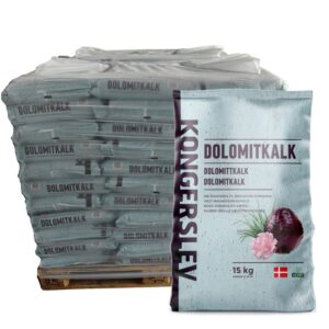 Kongerslev Dolomitkalk palle