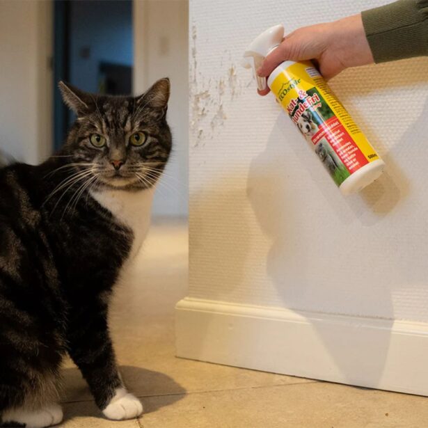 EcoStyle Kat og hundefri spray 500 ml gå væk kat gå væk hund