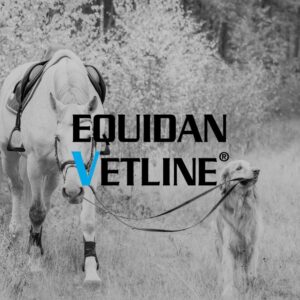 Equidan