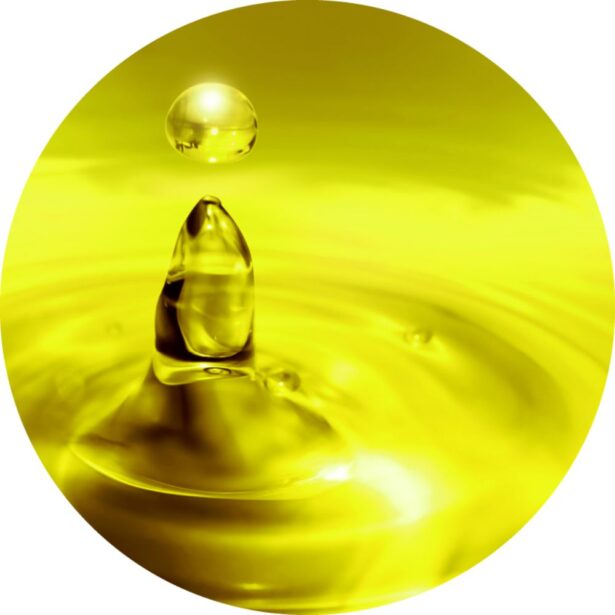 Nordic DHA Algae oil
