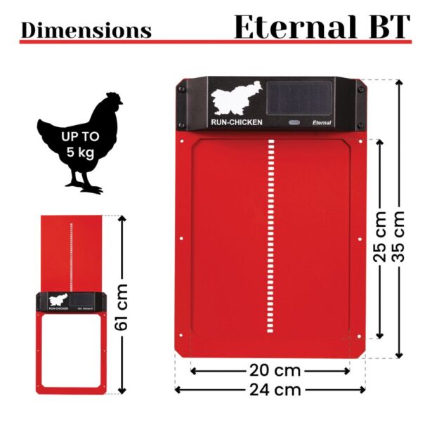 Ryom Run Chicken hønsedør automatisk