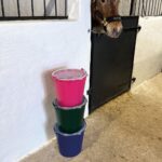 Spand 7 liter grøn, pink og blå