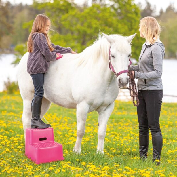 Trappe 2 trin opstigningsskammel pink