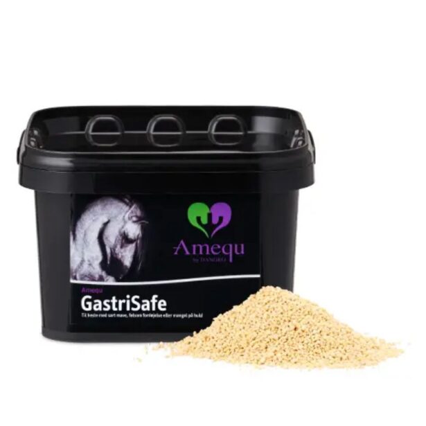 Amequ GastriSafe Lecithin