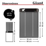 Ryom Run Chicken Gigant hønsedør app styring