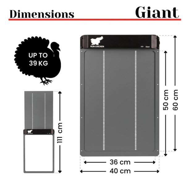 Ryom Run Chicken Gigant hønsedør app styring