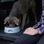Road Refresher spildfri vandskål 1,4 liter rejseskål
