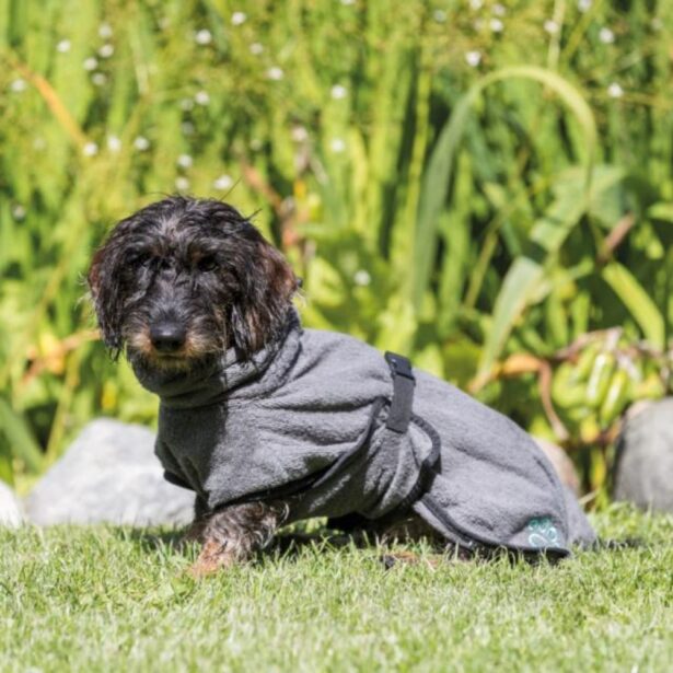 Trixie badekåbe til hund tørredækken