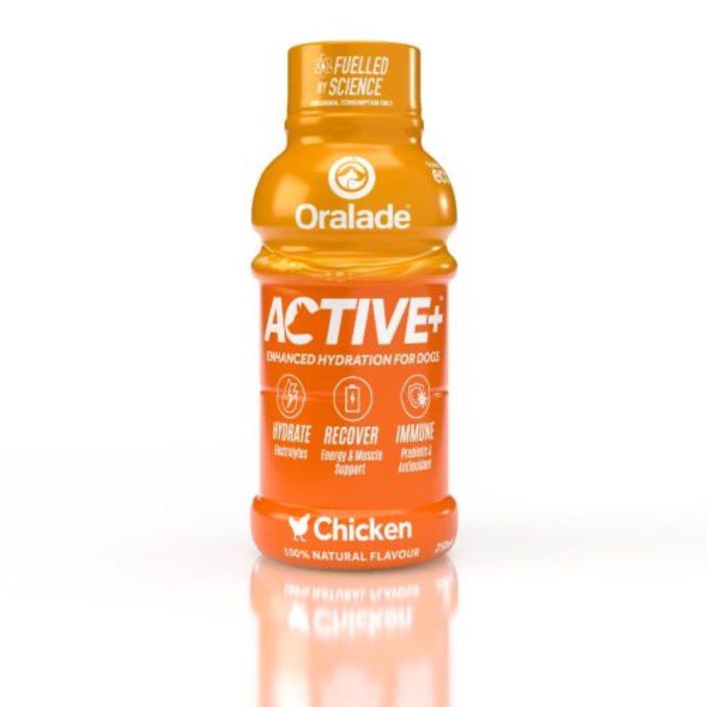 Oralade Active Kylling 250 ml