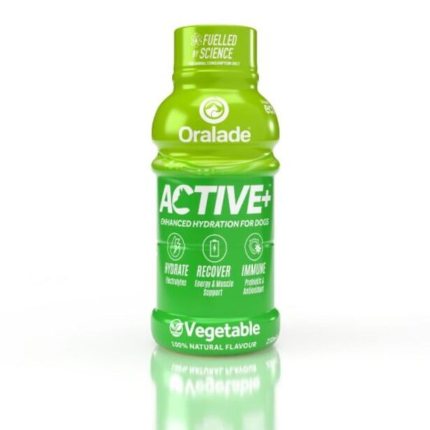 Oralade Active Veggie 250 ml