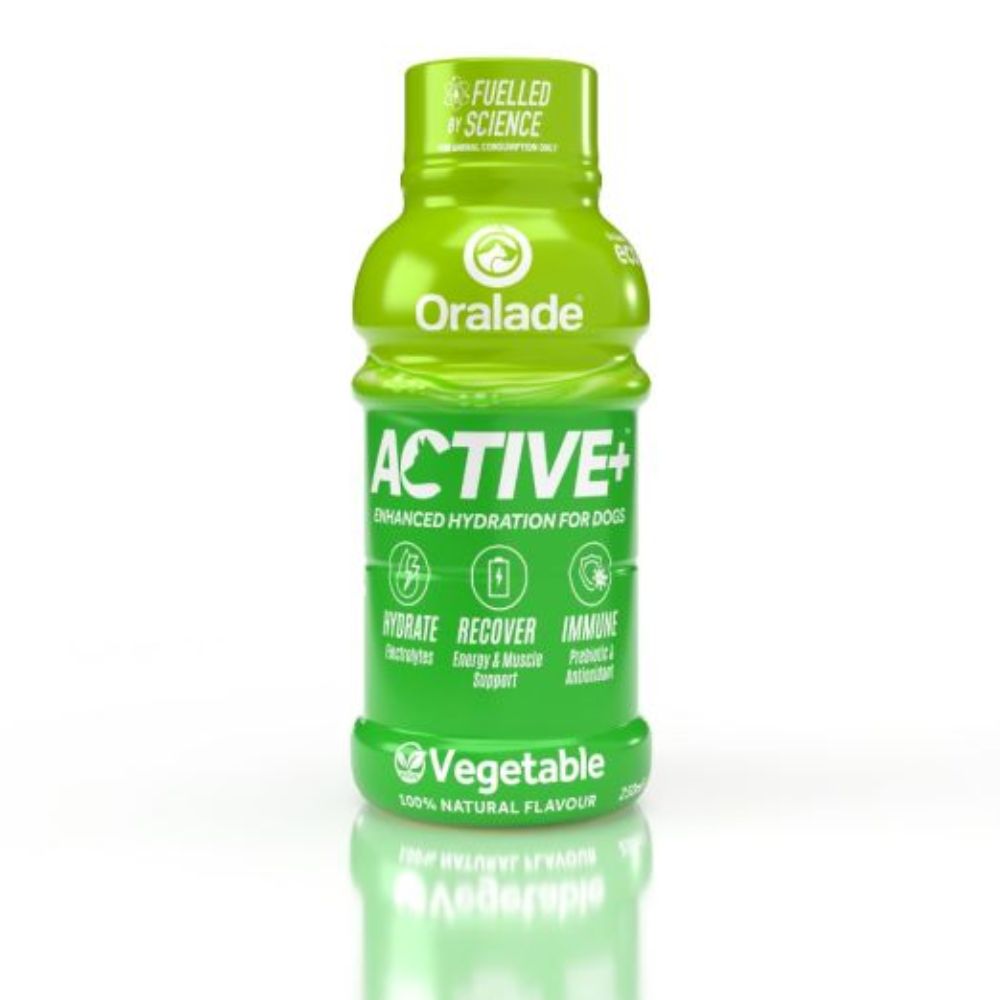 Oralade Active Veggie 250 ml