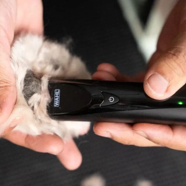 Wahl Fidela hundeklipper potetrimmer