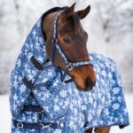 HG AW26 Snowflake grime