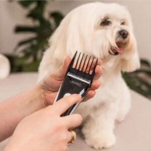 Hundeklippere