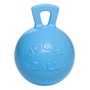 Jolly Ball blåbær legetøj til heste
