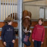 Kingsland AW26 Arthur julesok til heste