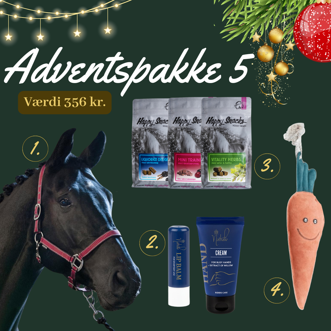 Hest Basis Adventspakke
