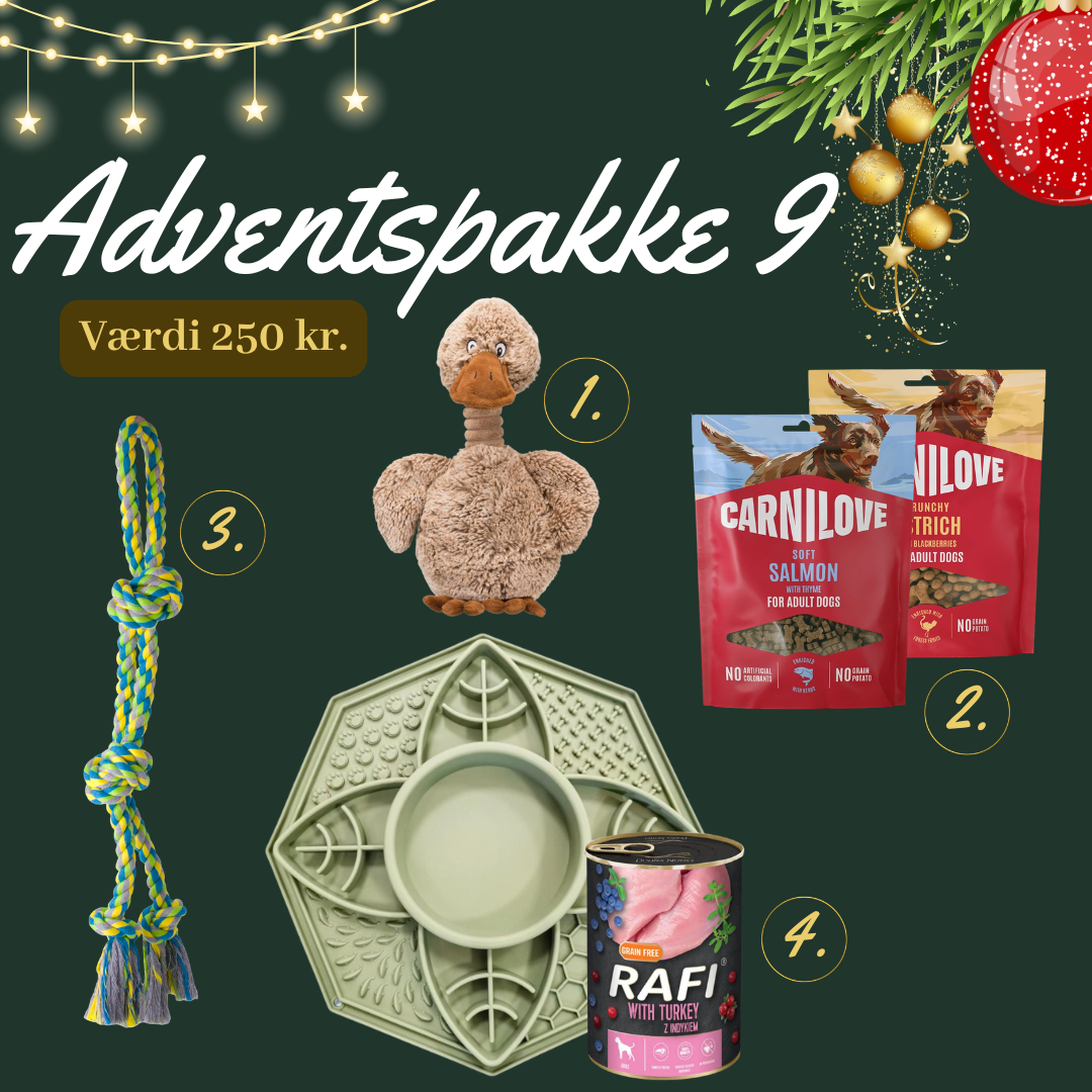 Hund Basis Adventspakke