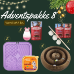 Kat Aktiv Adventskalender