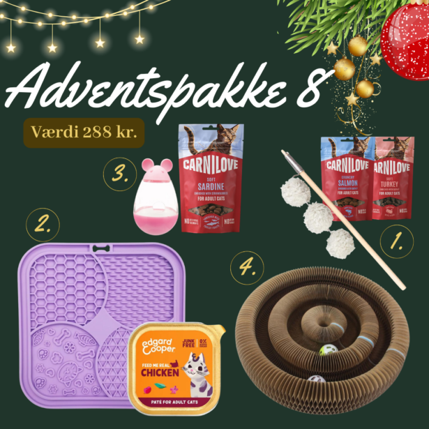 Kat Aktiv Adventskalender